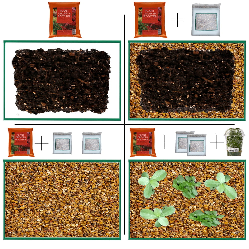 plant booster3.jpg